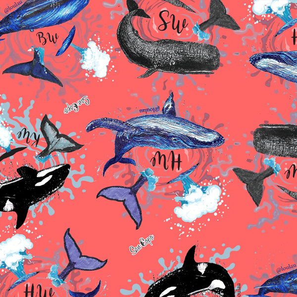 SAN COPO - Diseño y moda - Foto 11 - Ushuaia City