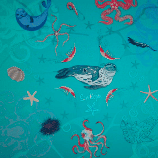 SAN COPO - Diseño y moda - Foto 2 - Ushuaia City